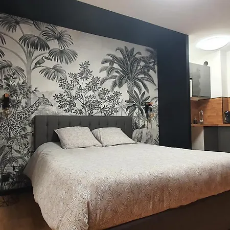 Апартаменты Climatise Place De Jaude Garage Balcon Tv Wifi *