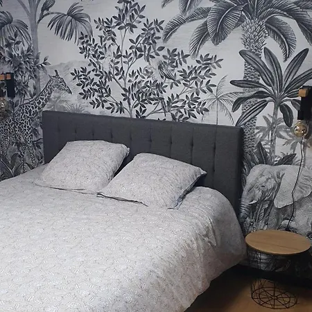 Climatise Place De Jaude Garage Balcon Tv Wifi