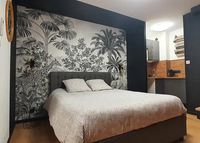 Apartament Climatise Place De Jaude Garage Balcon Tv Wifi *